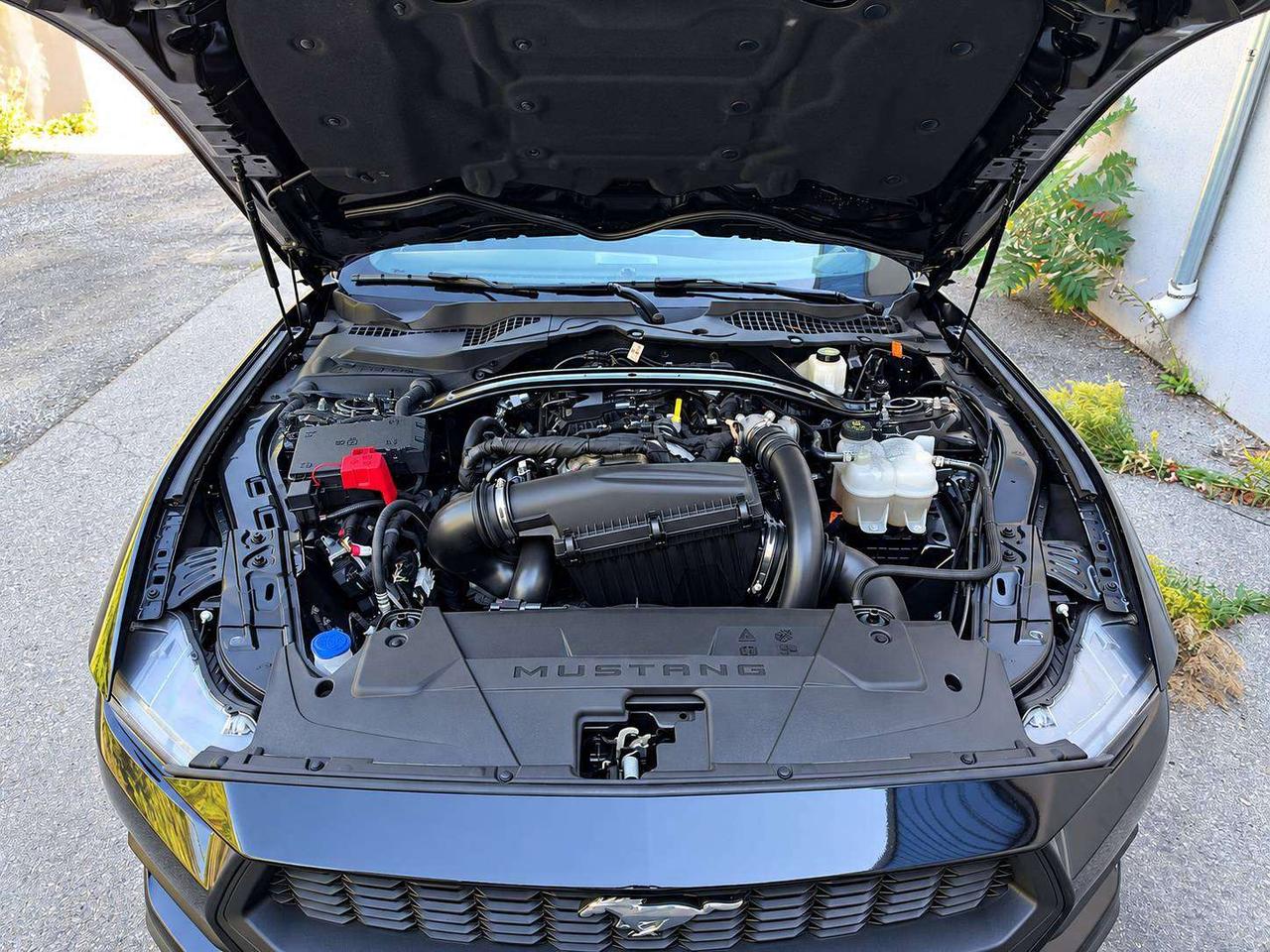 2025 Ford Mustang Ecoboost Premium Convertible RWD Photo