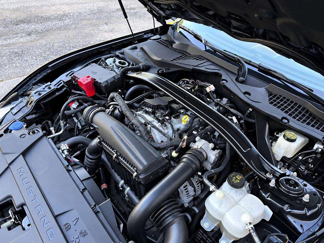 2025 Ford Mustang Ecoboost Premium Convertible RWD Photo
