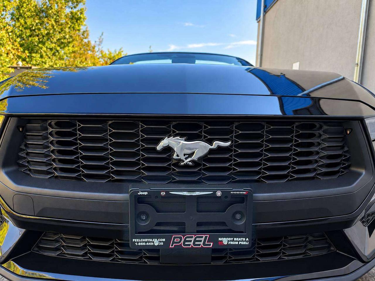 2025 Ford Mustang Ecoboost Premium Convertible RWD Photo