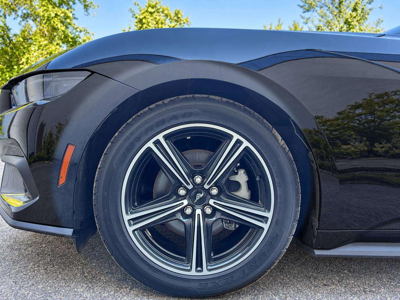 2025 Ford Mustang Ecoboost Premium Convertible RWD Photo