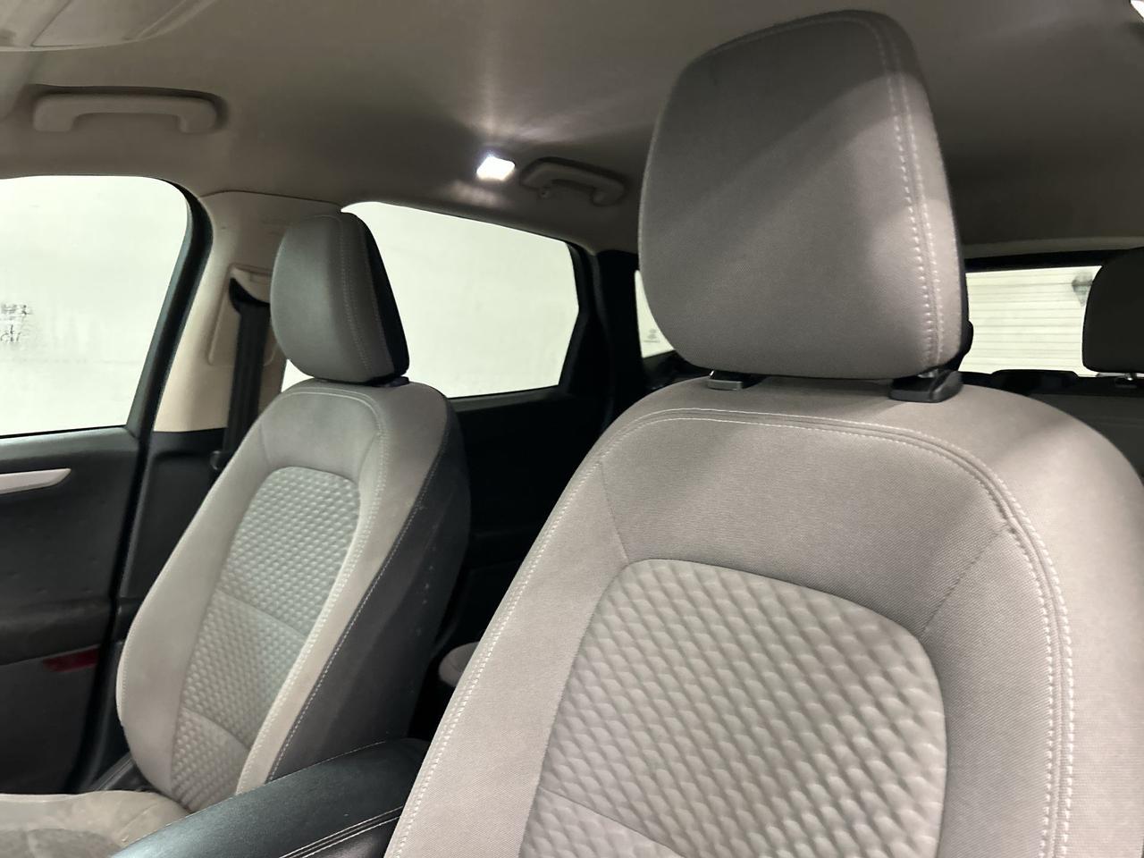 2020 Ford Escape SE AWD Photo