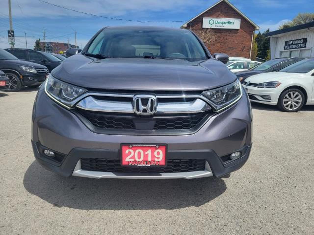 2019 Honda CR-V EX AWD Photo