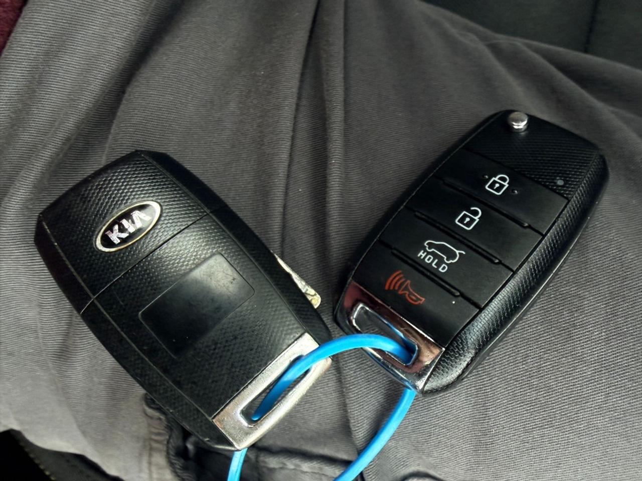 2016 Kia Soul 5dr Wagon Automatic EX Photo