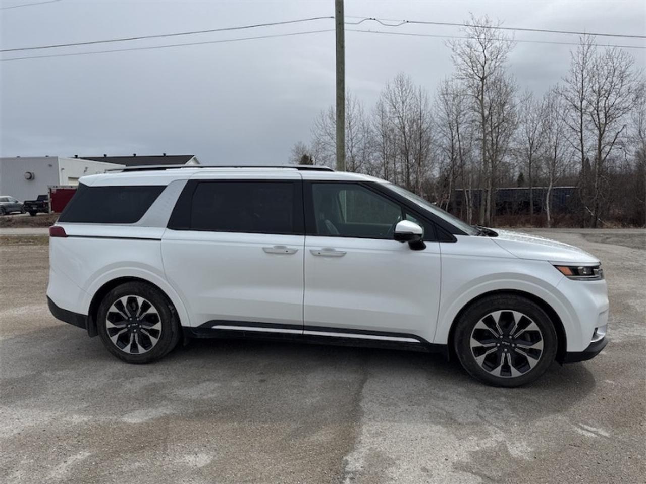 2024 Kia Carnival EX  Leather Seats - $267 B/W Photo