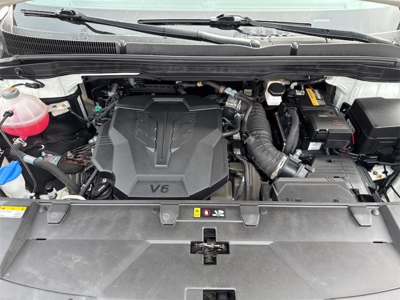 2024 Kia Carnival EX  Leather Seats - $267 B/W Photo