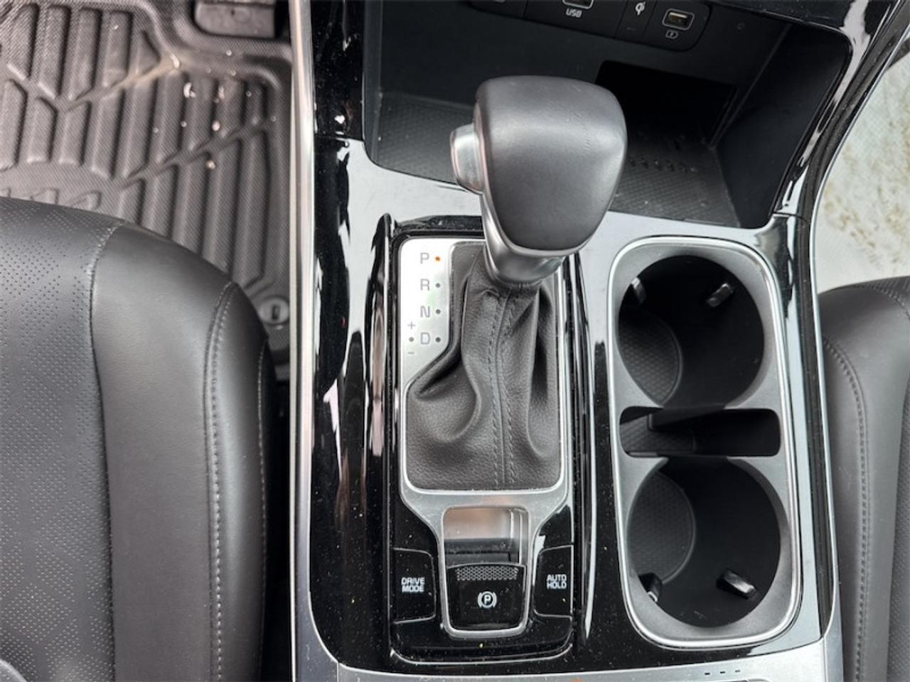 2024 Kia Carnival EX  Leather Seats - $267 B/W Photo