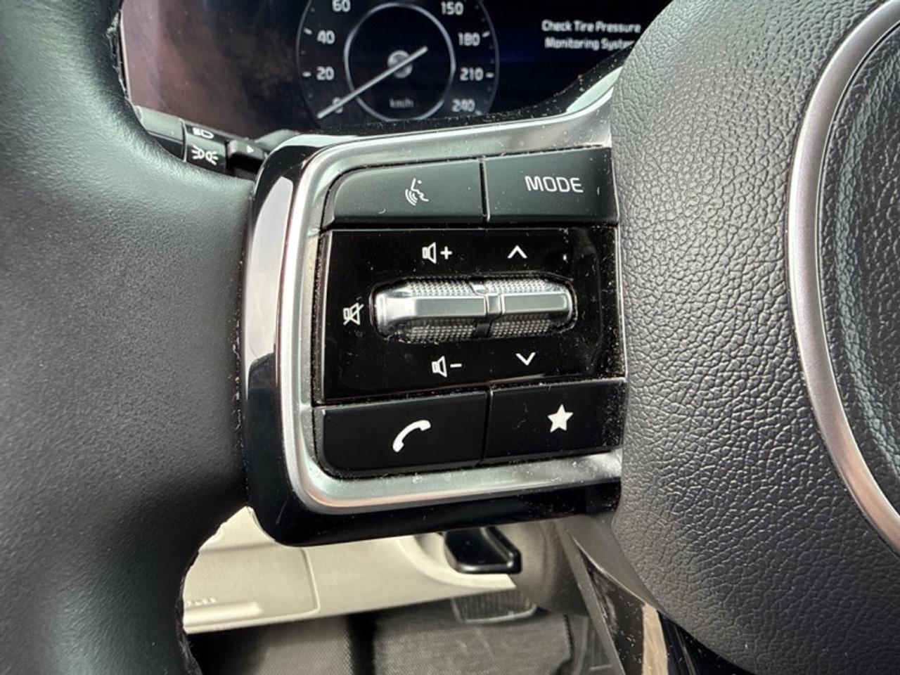 2024 Kia Carnival EX  Leather Seats - $267 B/W Photo