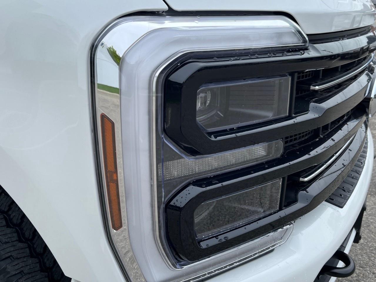 2026 Ford F-250 Super Duty SRW PLATINUM 4WD CREW CAB 6.75' BOX Photo