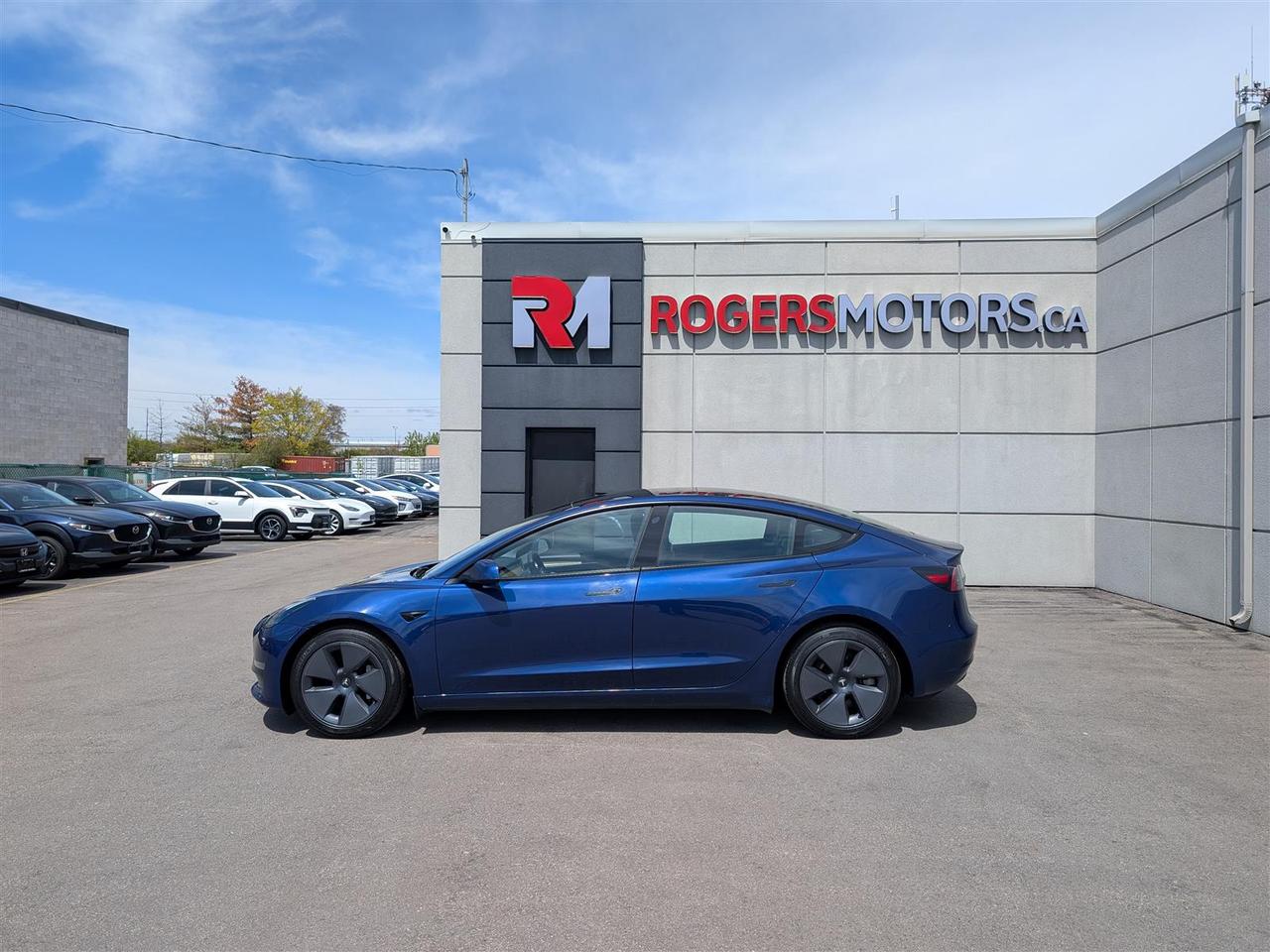 2023 Tesla Model 3 STANDARD Photo