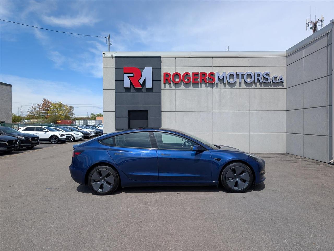 2023 Tesla Model 3 STANDARD Photo