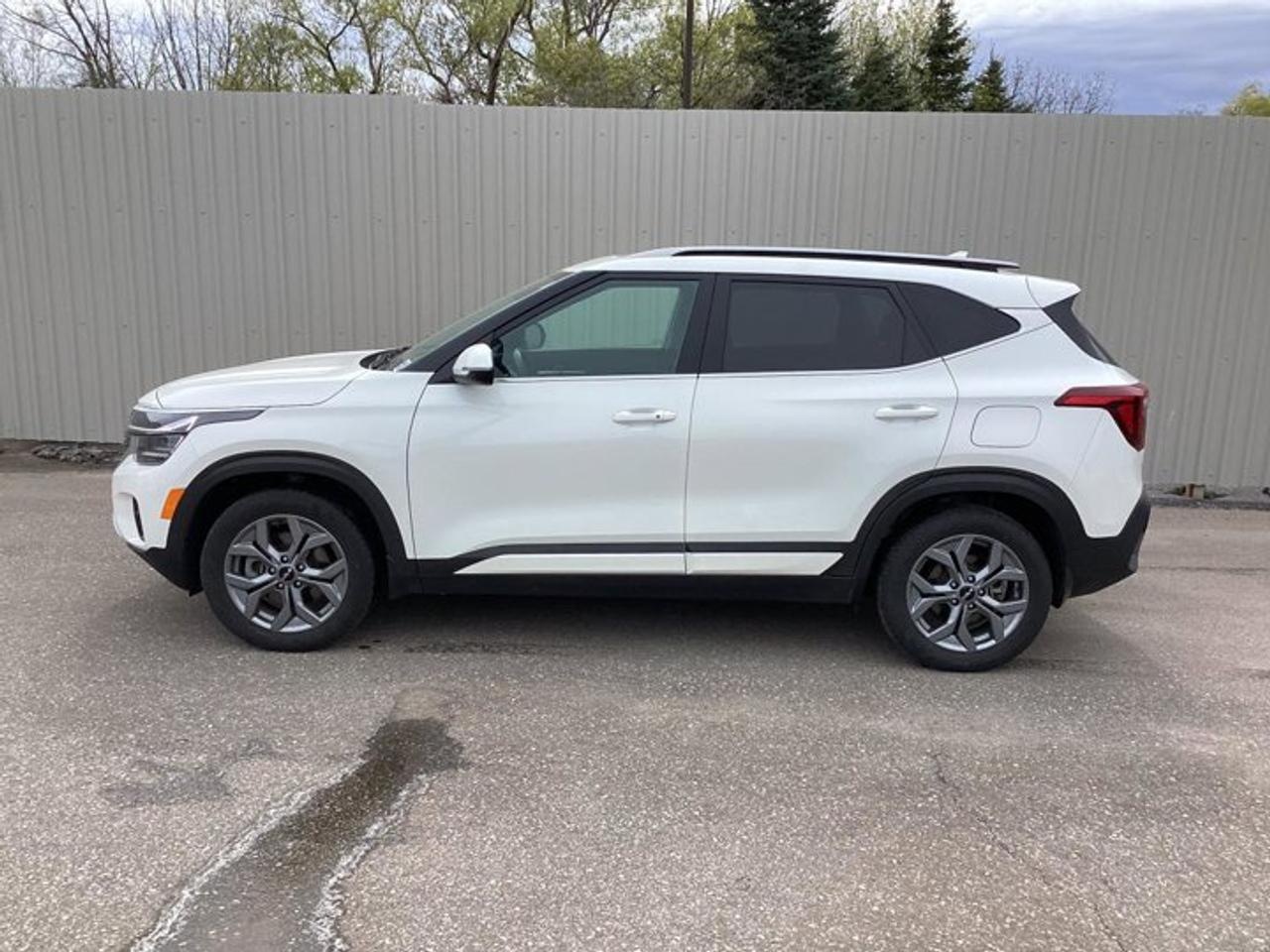 2025 Kia Seltos EX AWD | No Accidents | Sunroof | Leather Seats | Heated Steering Photo