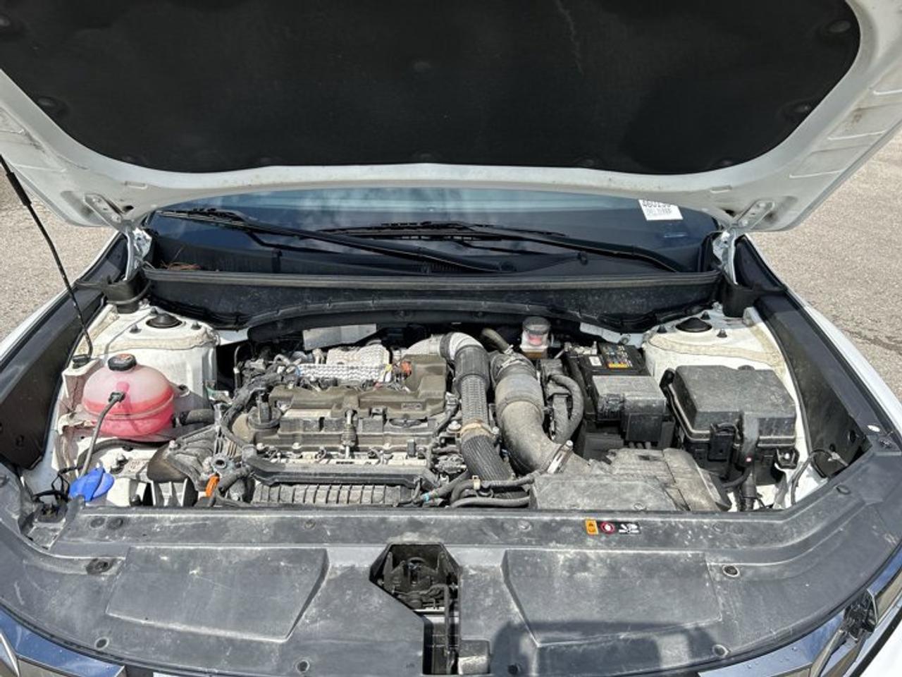 2024 Hyundai Santa Cruz PREFERRED AWD Photo