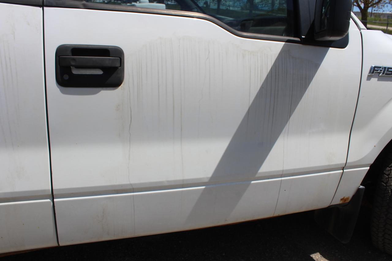 2010 Ford F-150 XL Photo