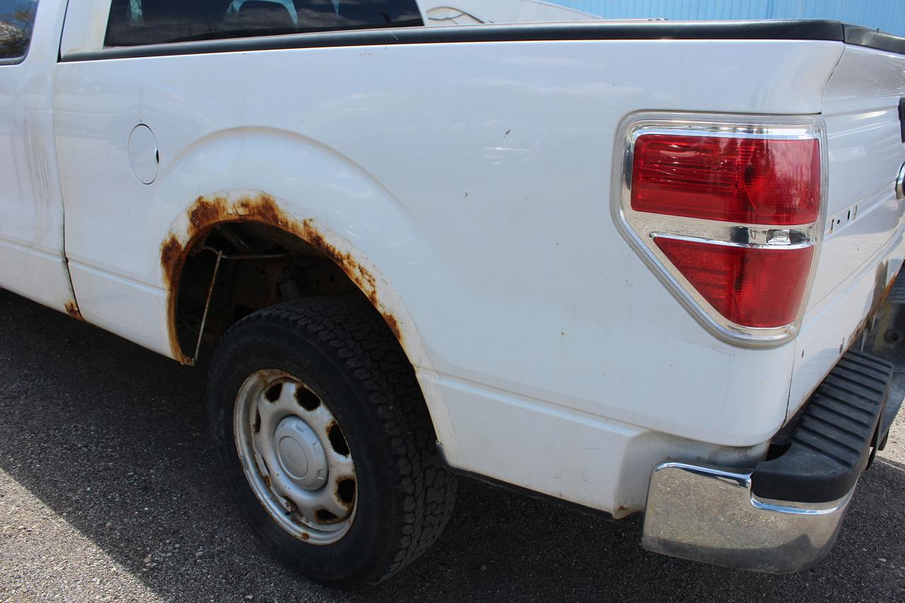 2010 Ford F-150 XL Photo
