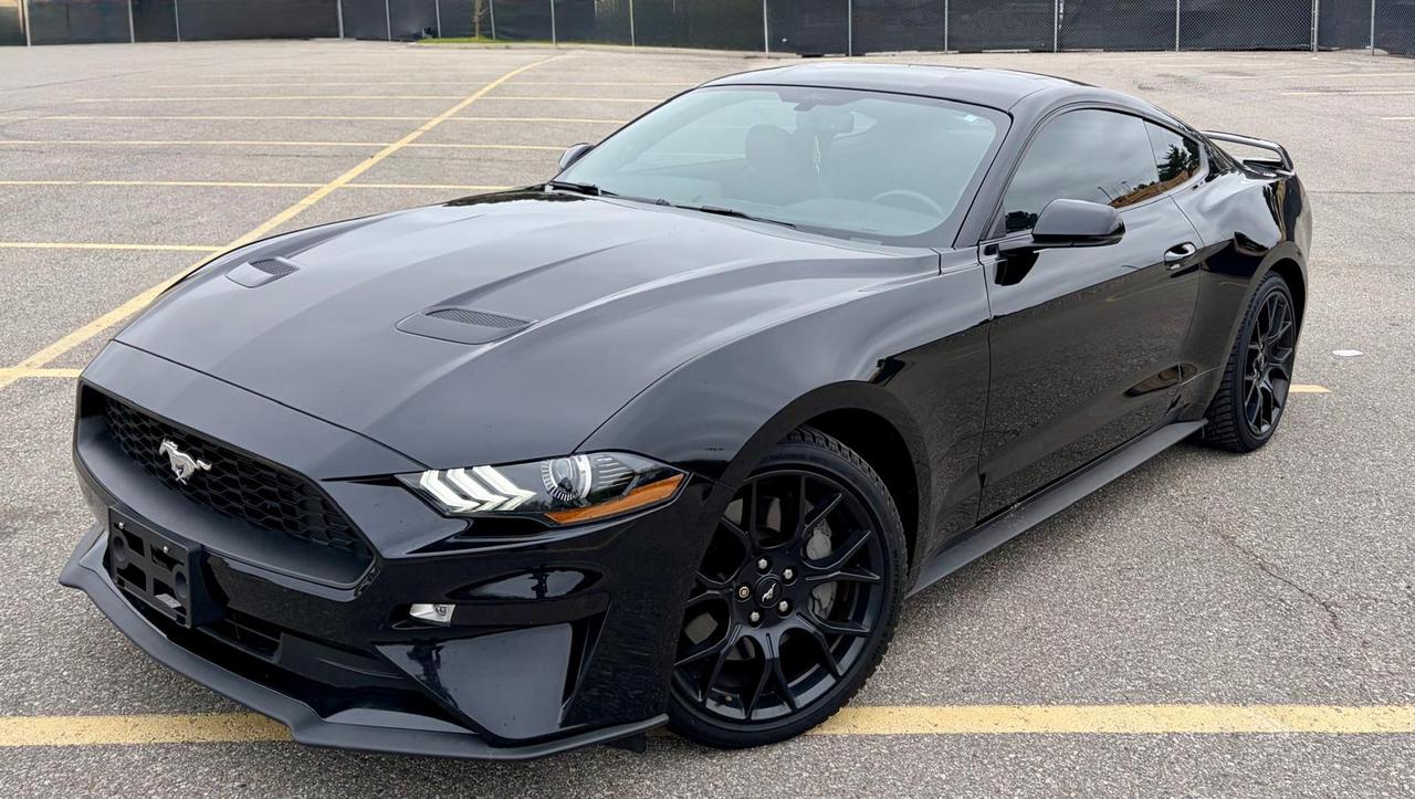 2019 Ford Mustang EcoBoost