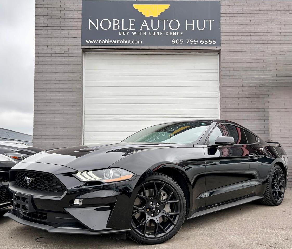 2019 Ford Mustang EcoBoost Photo2