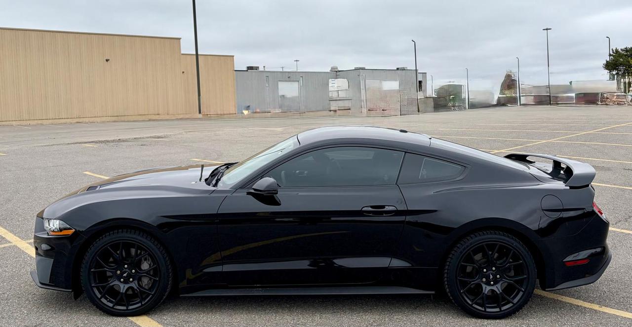 2019 Ford Mustang EcoBoost Photo3