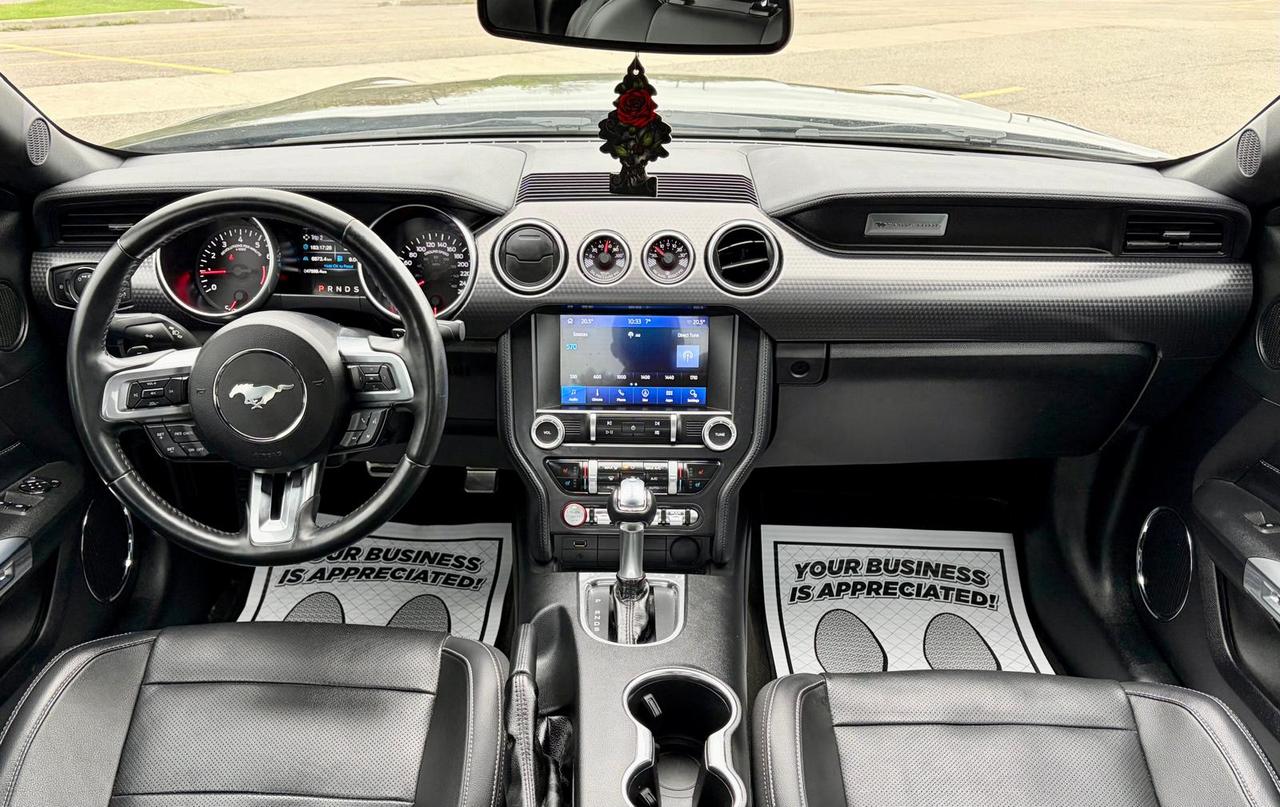 2019 Ford Mustang EcoBoost Photo
