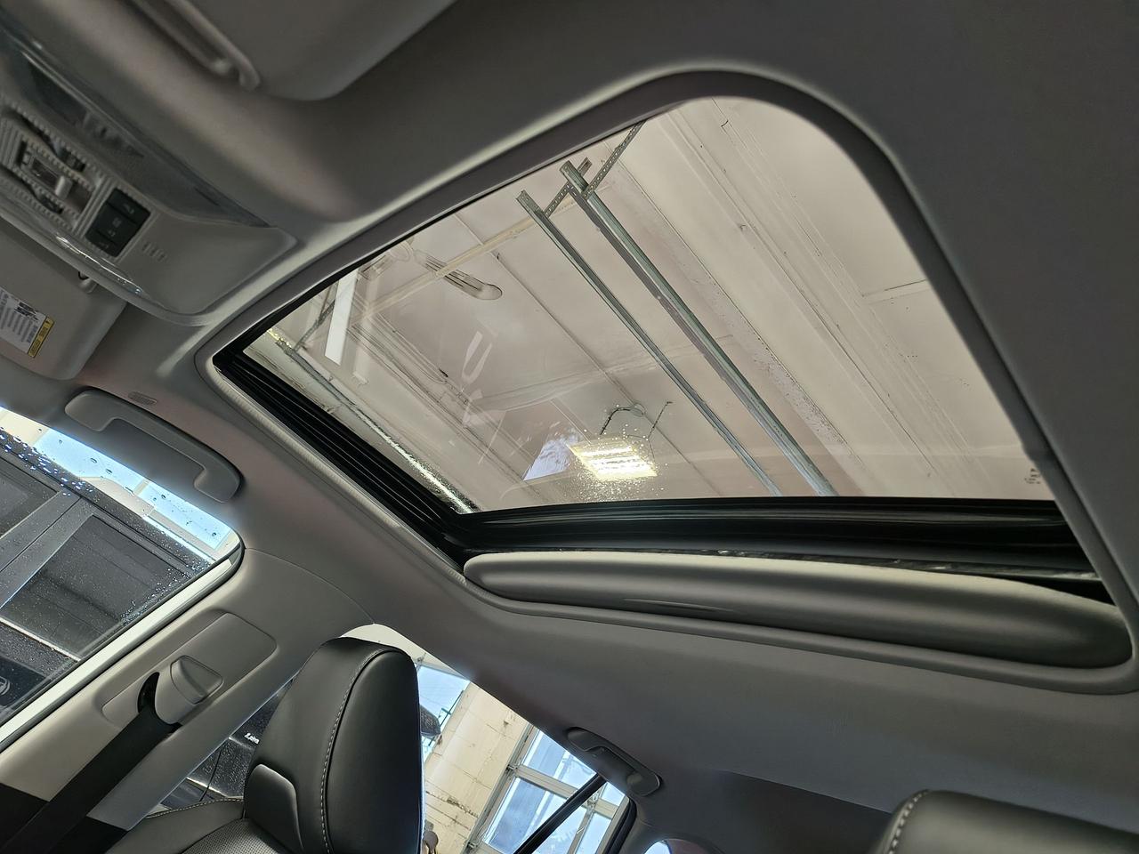 2023 Toyota RAV4 LIMITED  Photo