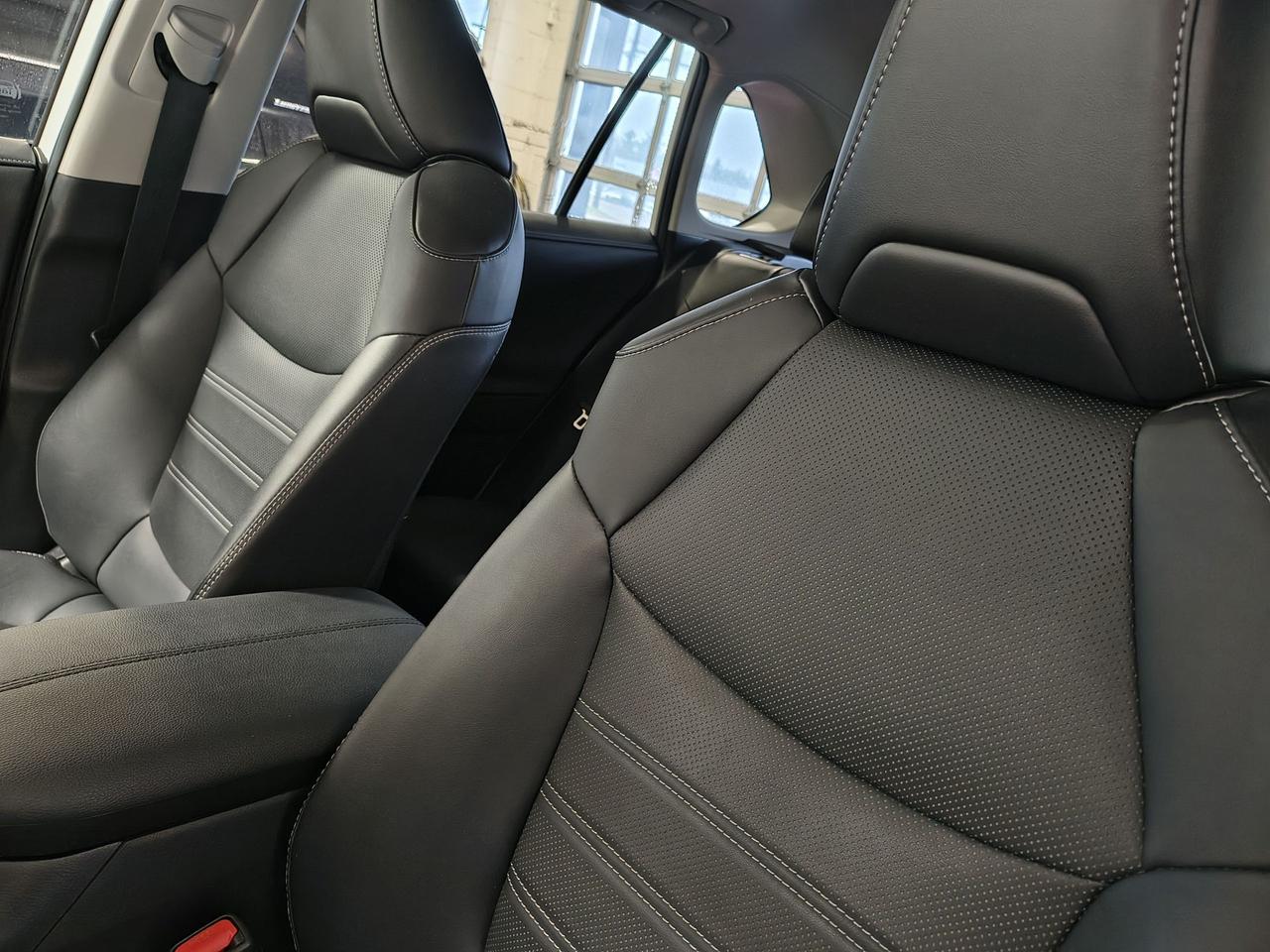2023 Toyota RAV4 LIMITED  Photo0