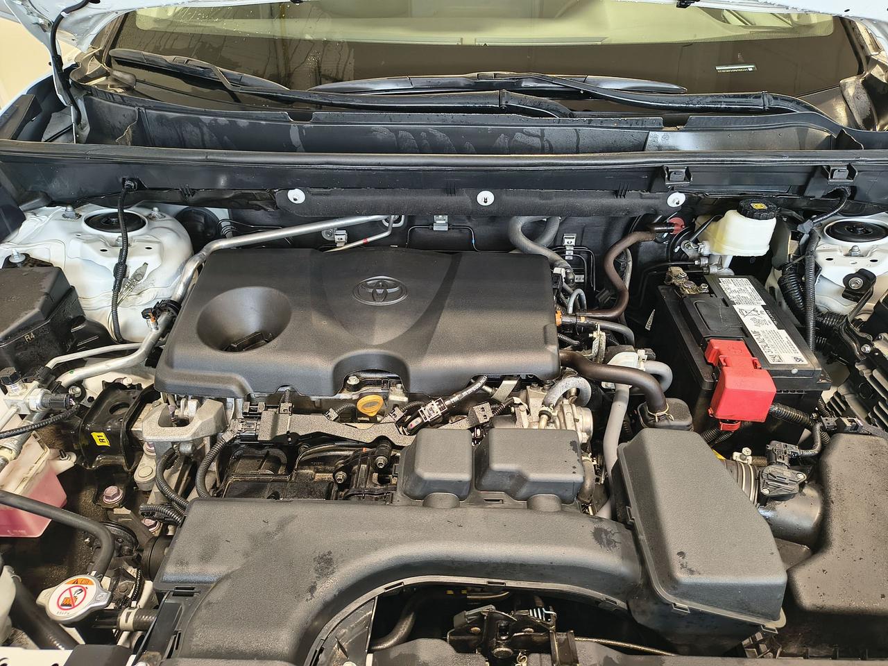 2023 Toyota RAV4 LIMITED  Photo
