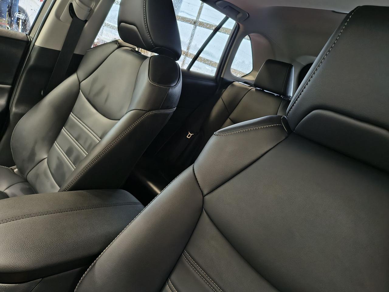 2024 Toyota RAV4 XLE Photo0