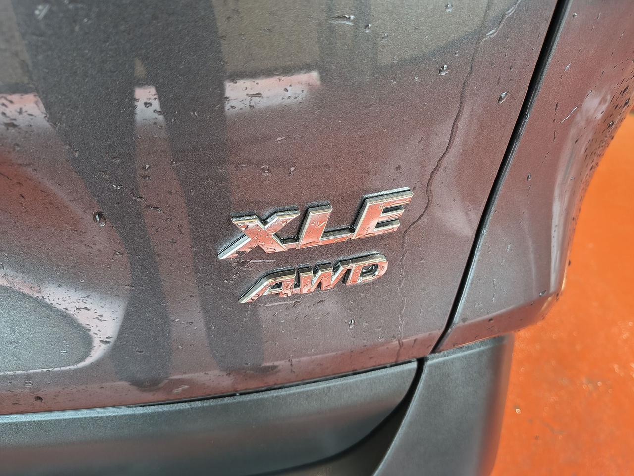 2024 Toyota RAV4 XLE Photo