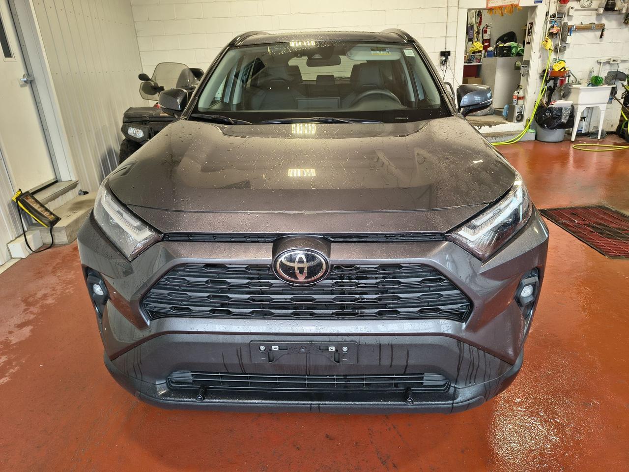 2024 Toyota RAV4 XLE Photo0