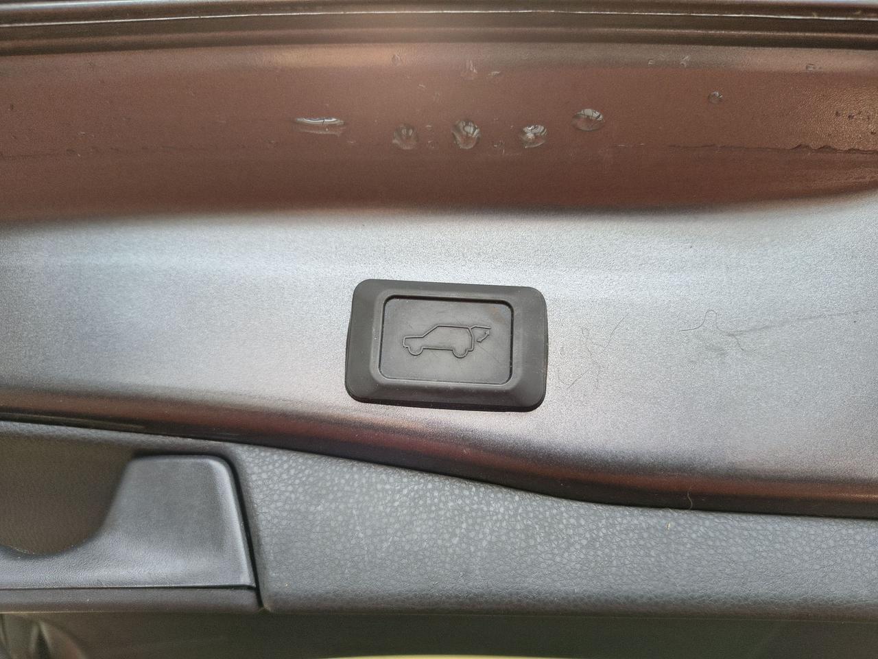 2024 Toyota RAV4 XLE Photo