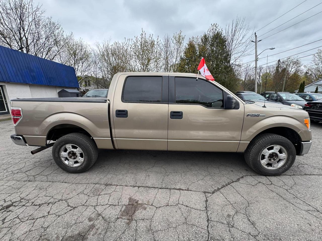 2011 Ford F-150 4WD SUPERCREW 145" XLT Photo