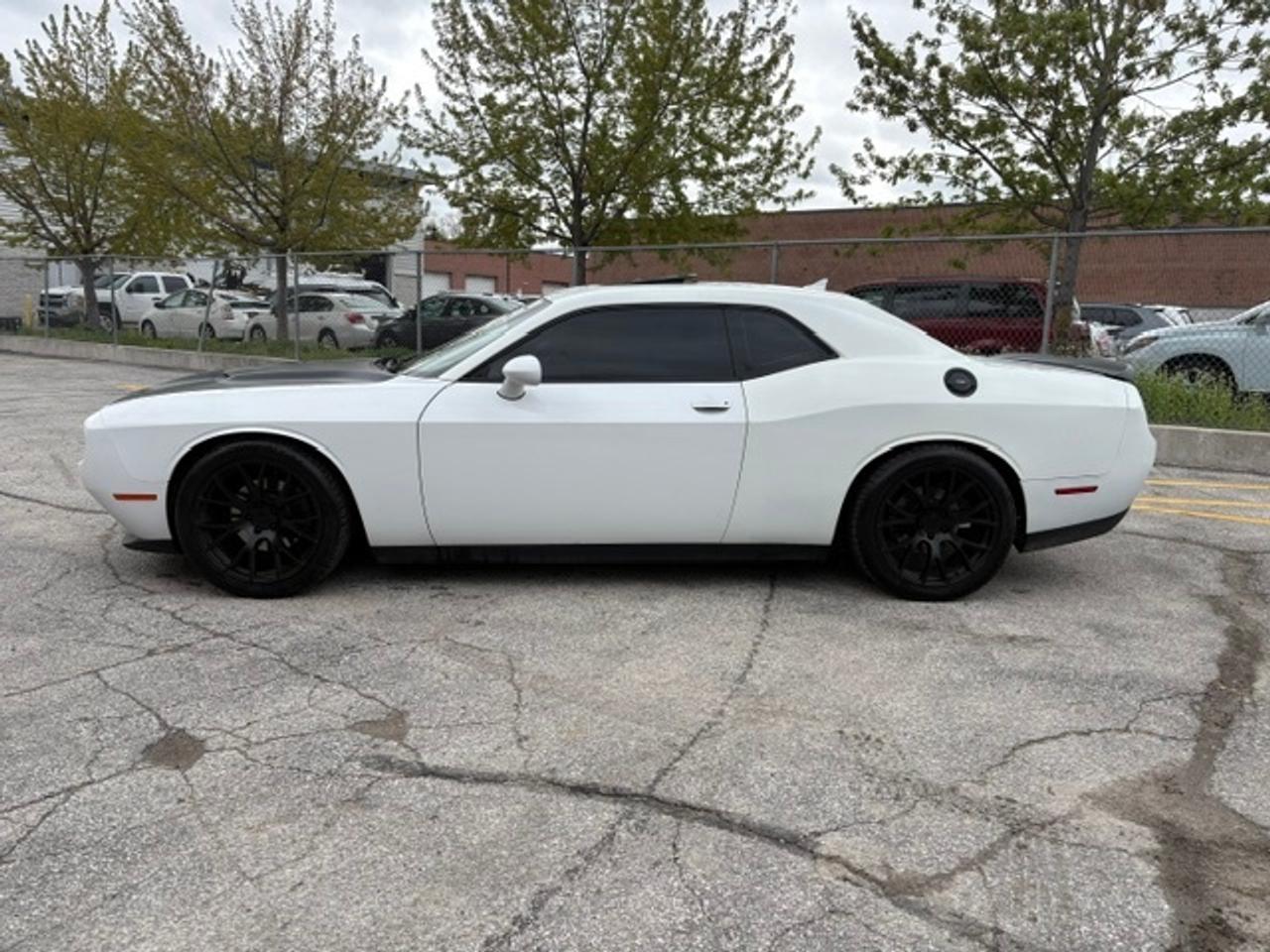 2019 Dodge Challenger SXT PREMIUM-LEATHER-ROOF-CAMERA-NAVIGATION-WE FINANCE Photo