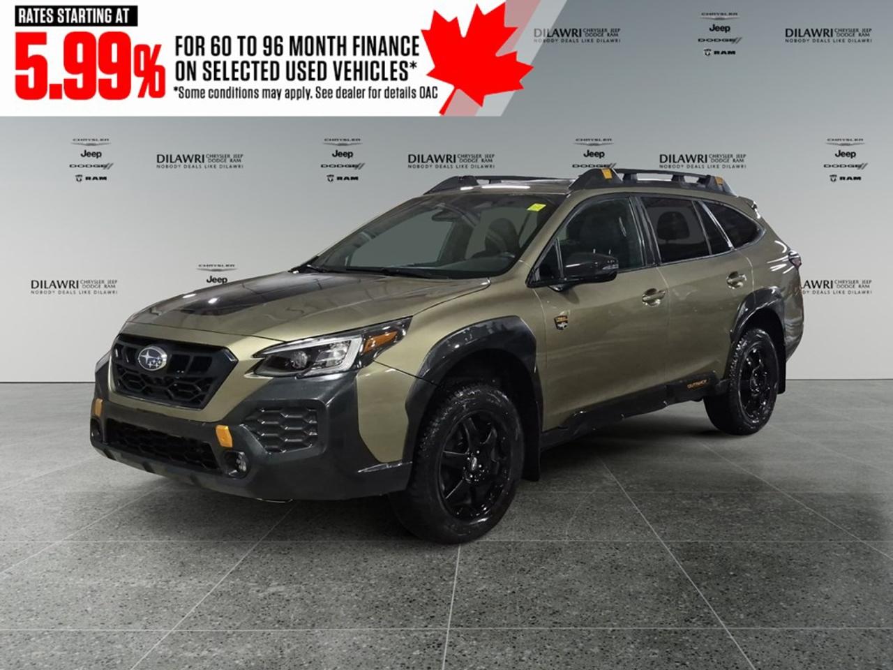 2024 Subaru Outback Wilderness AWD Photo0