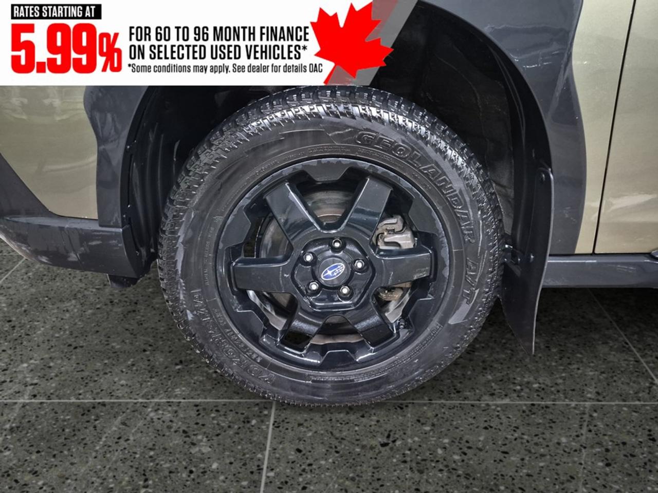 2024 Subaru Outback Wilderness AWD Photo