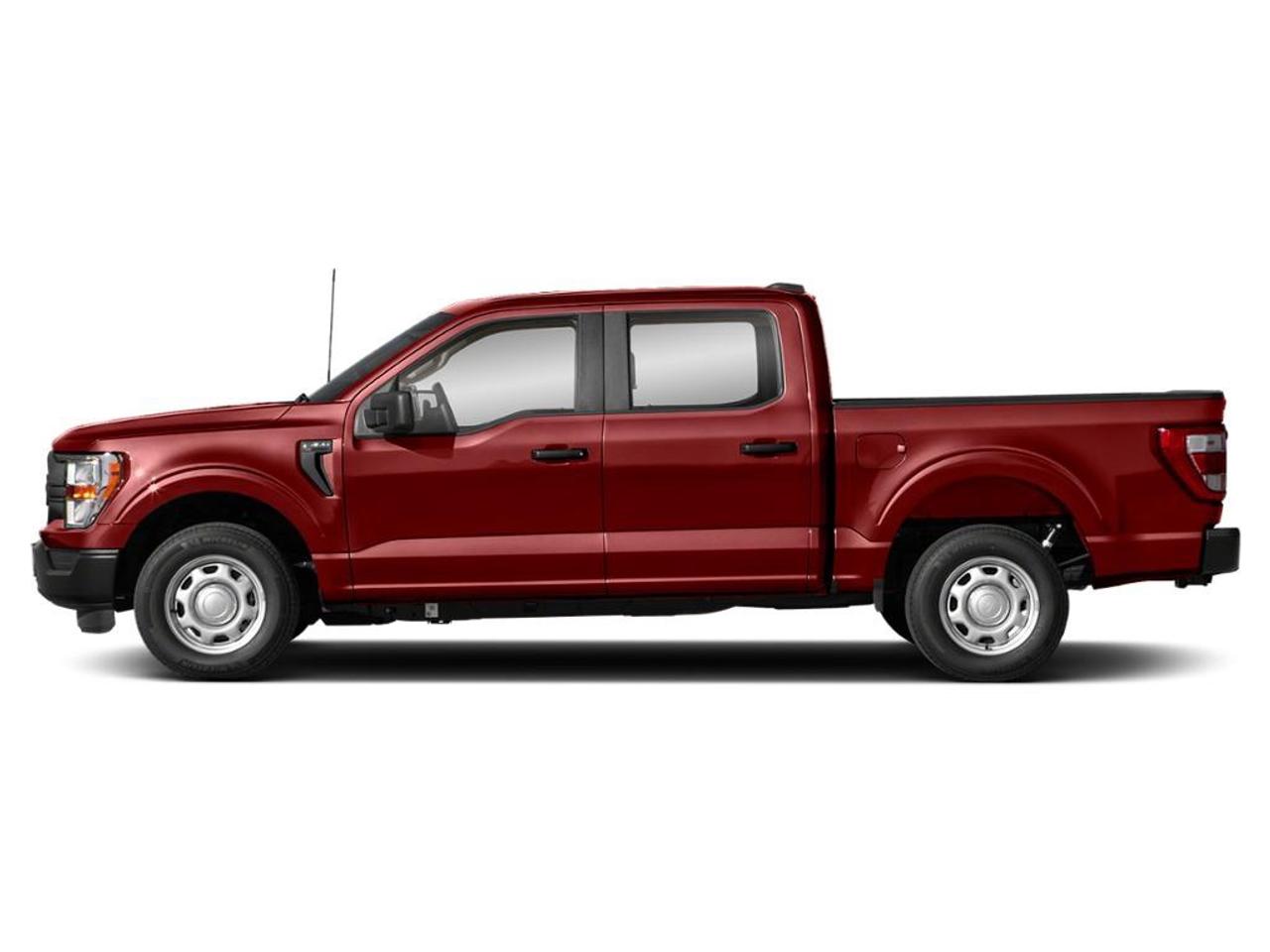 2023 Ford F-150 XL Photo