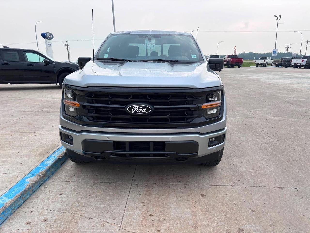 2026 Ford F-150 XLT 4WD SuperCrew 5.5' Box Photo1
