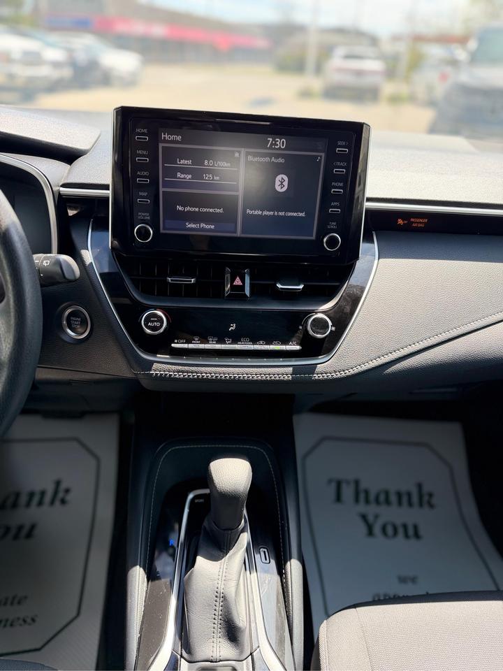 2020 Toyota Corolla  Photo