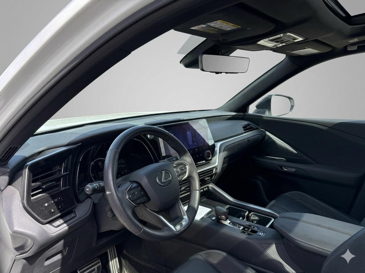 2024 Lexus TX TX 500h Photo