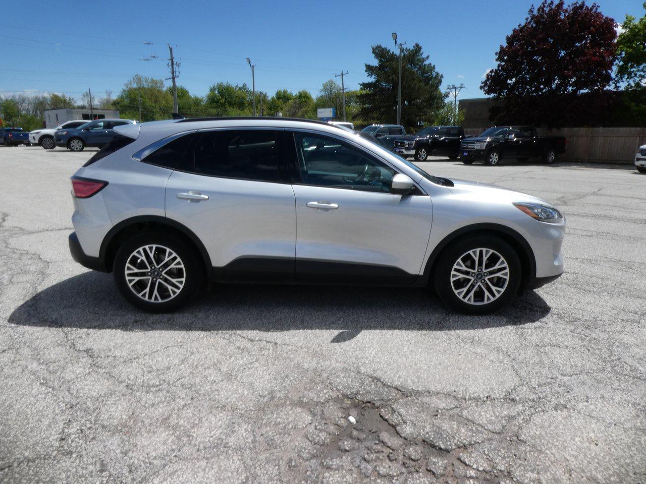 2020 Ford Escape SEL | Heated Seats | Backup Cam | Heated Steering | Photo