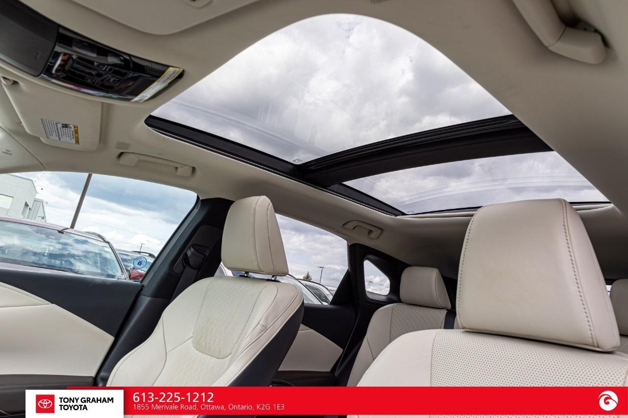 2023 Lexus RX 350H Ultra Luxury Package Photo