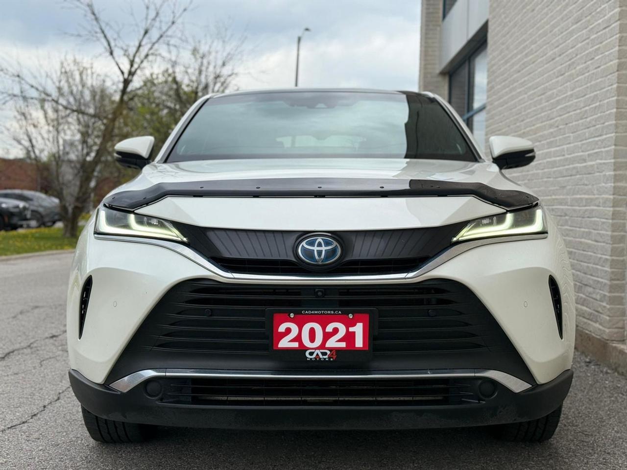 2021 Toyota Venza LIMITED Photo
