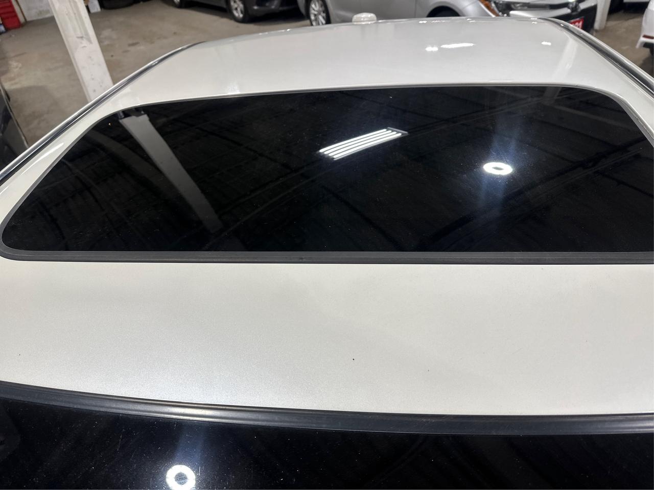 2008 Acura TL BASE Photo