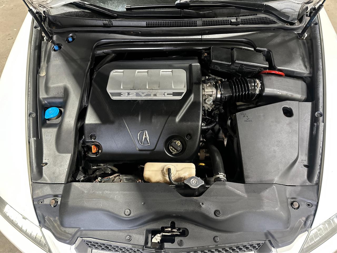 2008 Acura TL BASE Photo