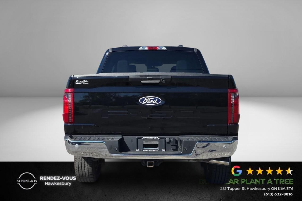 2024 Ford F-150 XLT Photo
