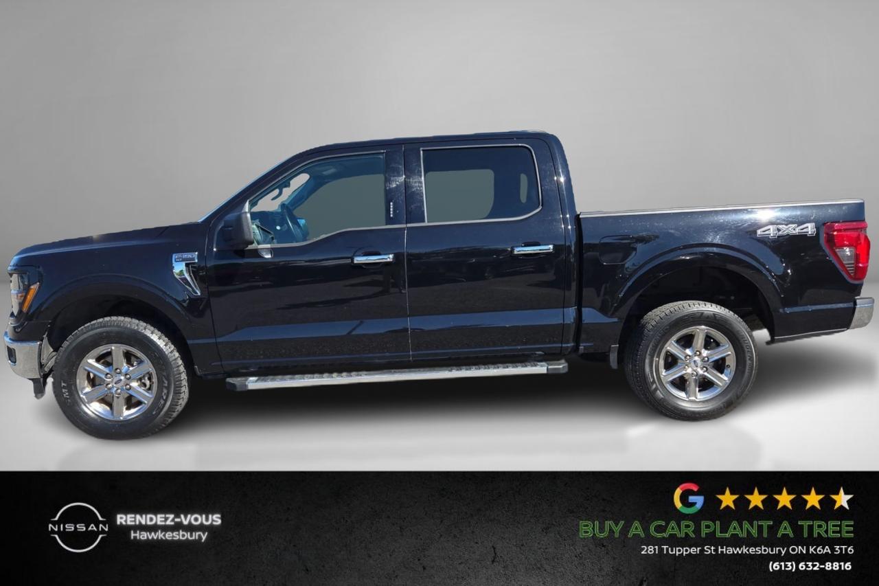 2024 Ford F-150 XLT Photo