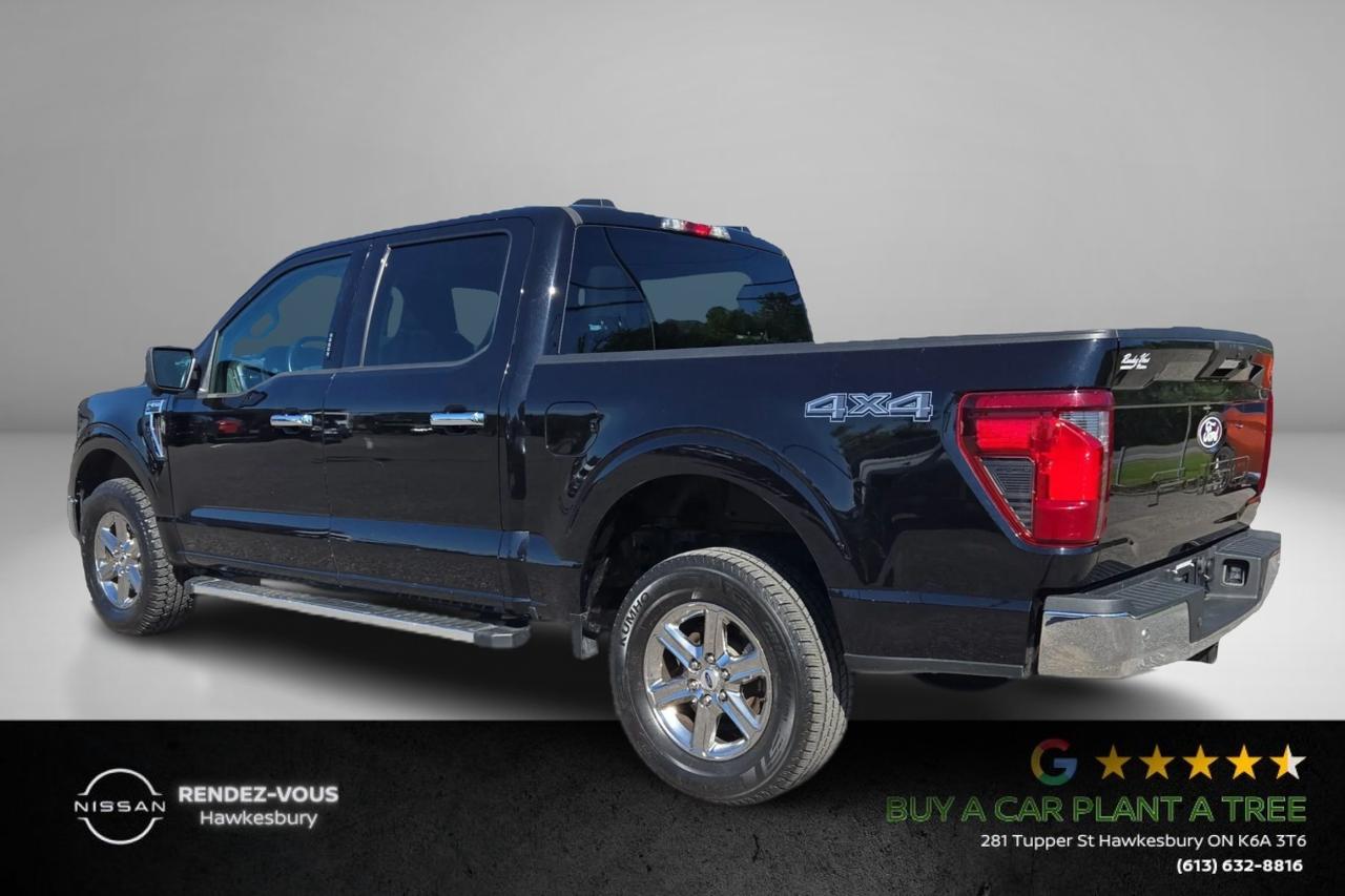2024 Ford F-150 XLT Photo2