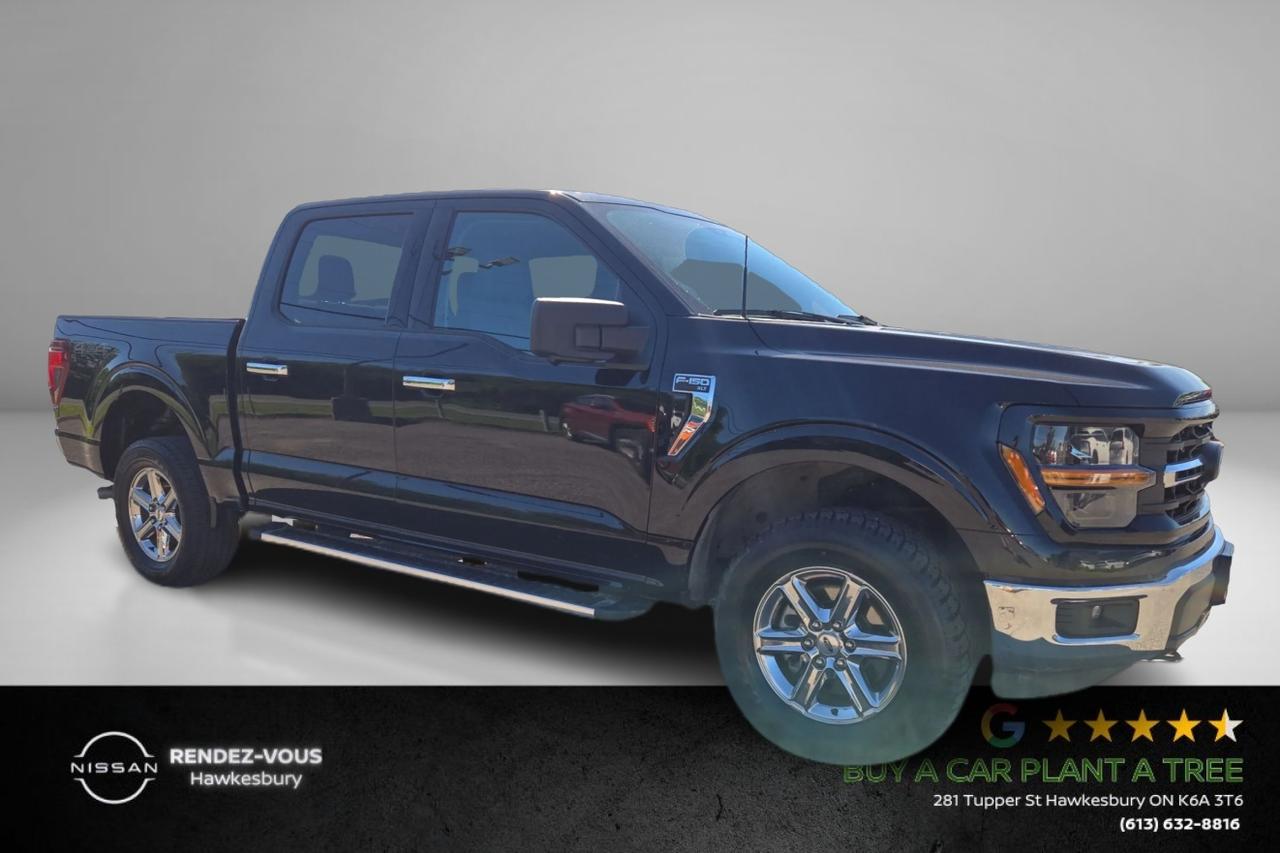 2024 Ford F-150 XLT Photo