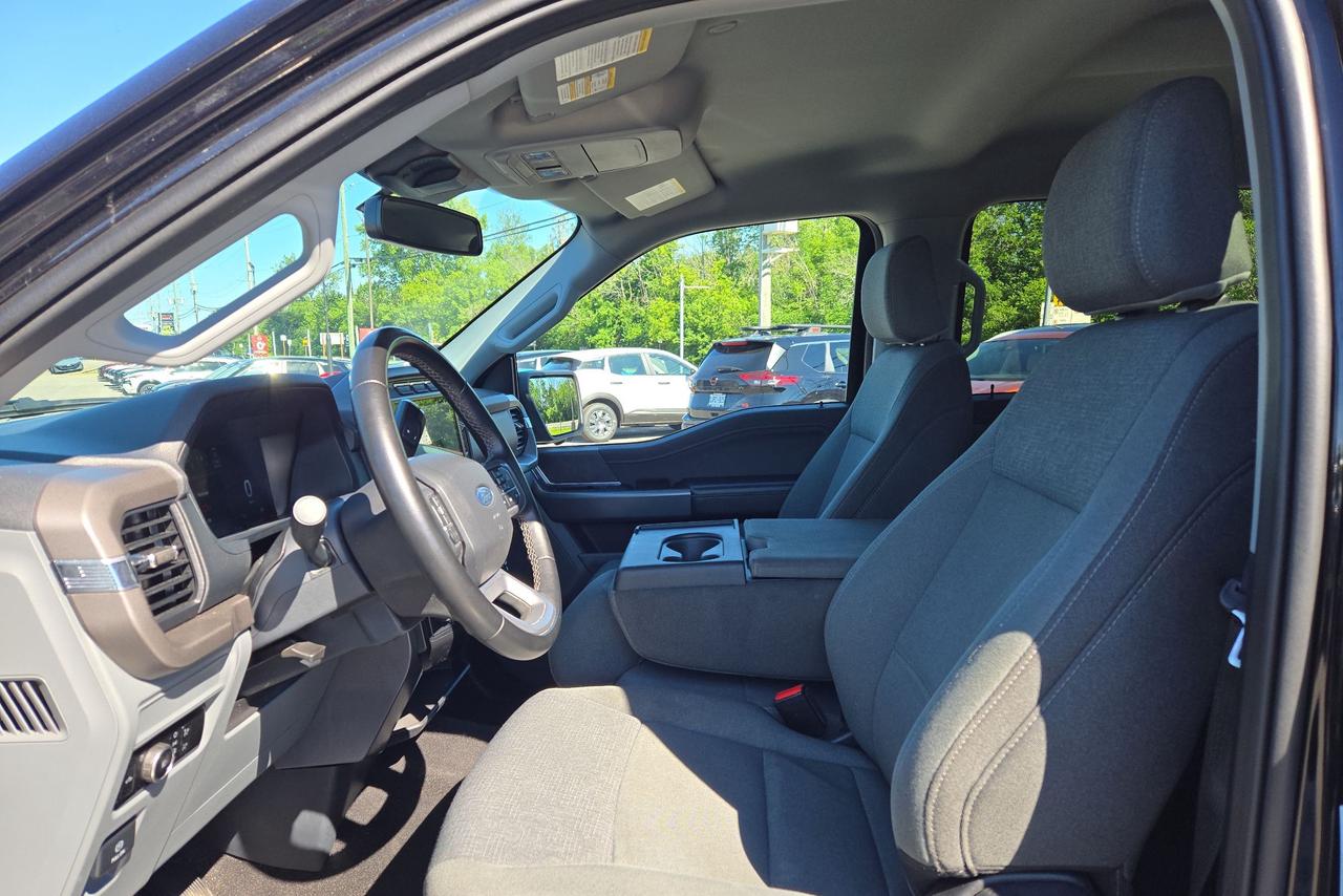 2024 Ford F-150 XLT Photo
