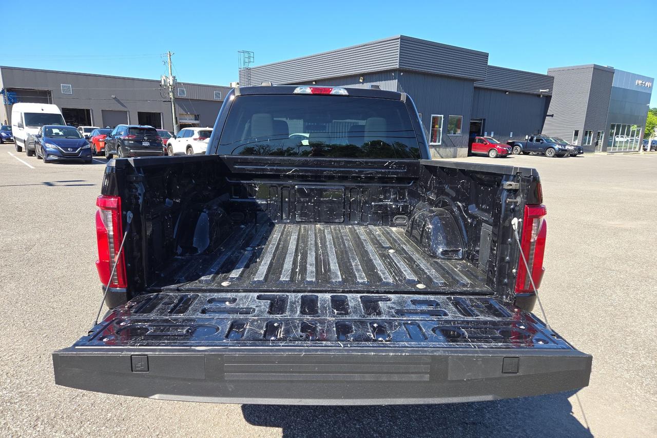 2024 Ford F-150 XLT Photo