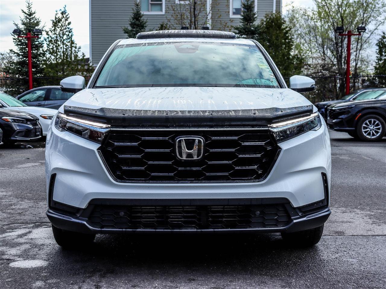 2024 Honda CR-V EX-L AWD SUNROOF LEATHER Photo