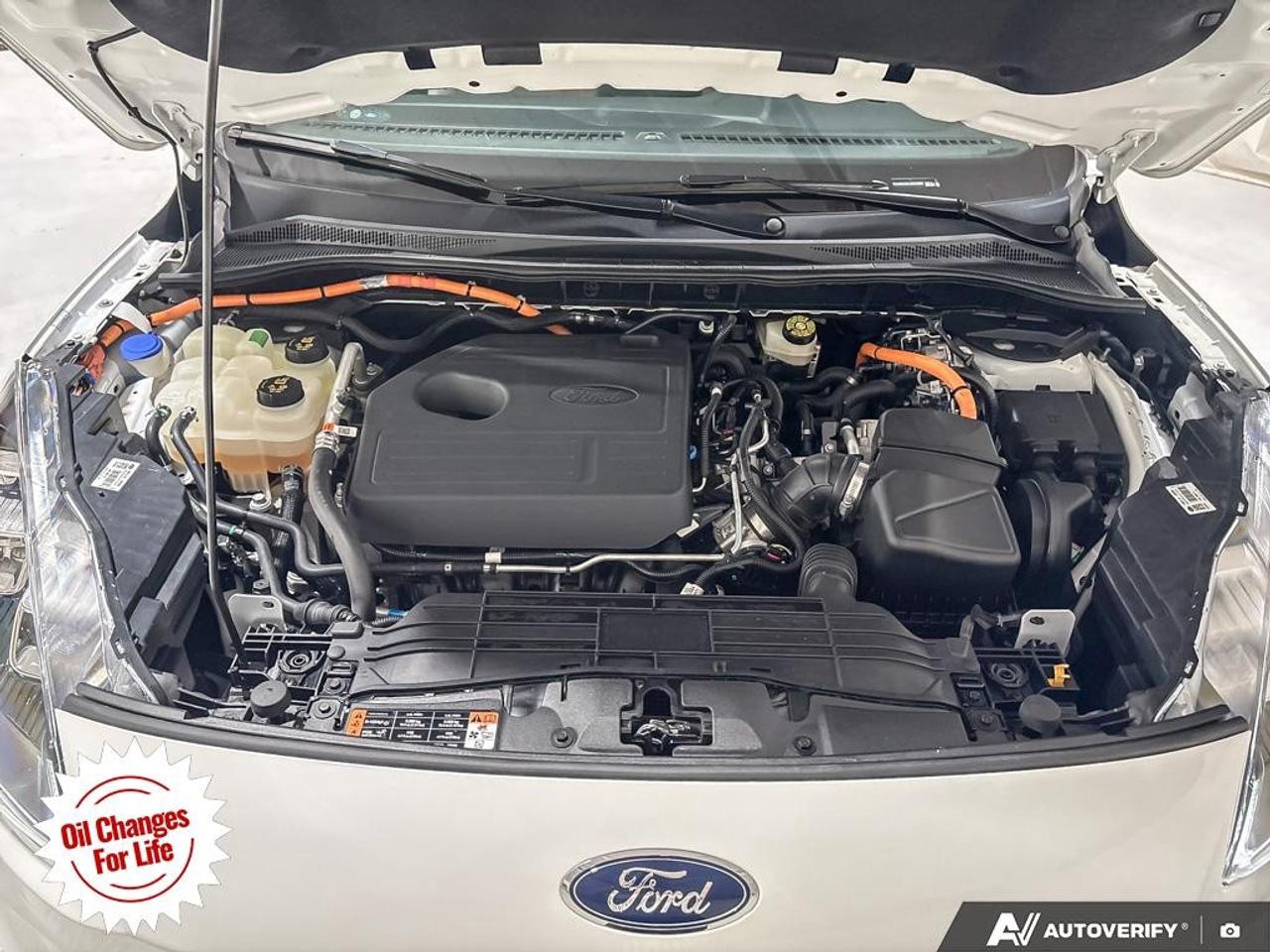 2020 Ford Escape Titanium Hybrid AWD Photo